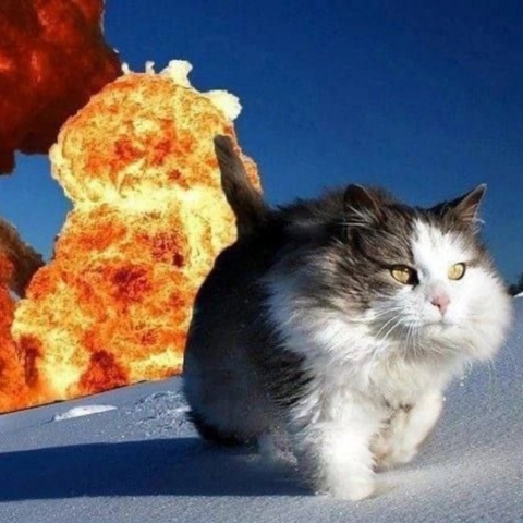 Илья Дубровский