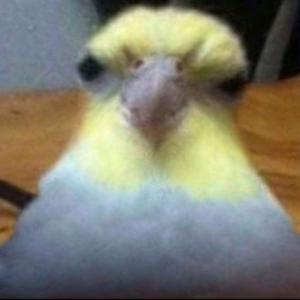 BenLucero