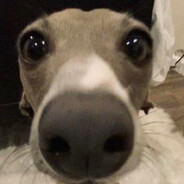 JySsik