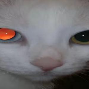 маленький принц