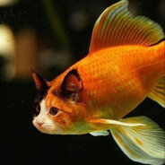 иван пьяточкин